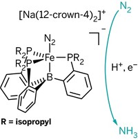 Serving the chemical, life science, and laboratory worlds