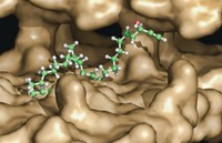 Serving the chemical, life science, and laboratory worlds
