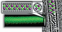 Serving the chemical, life science, and laboratory worlds