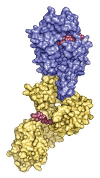 Serving the chemical, life science, and laboratory worlds