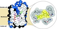 Serving the chemical, life science, and laboratory worlds