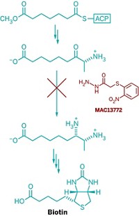 Serving the chemical, life science, and laboratory worlds