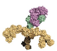Serving the chemical, life science, and laboratory worlds
