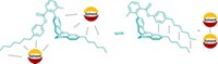 Serving the chemical, life science, and laboratory worlds
