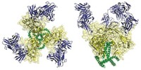 Serving the chemical, life science, and laboratory worlds