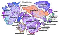 Serving the chemical, life science, and laboratory worlds