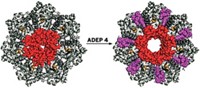 Serving the chemical, life science, and laboratory worlds