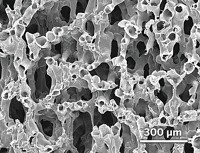 Serving the chemical, life science, and laboratory worlds