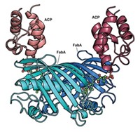 Serving the chemical, life science, and laboratory worlds