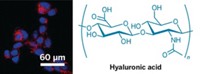 Serving the chemical, life science, and laboratory worlds