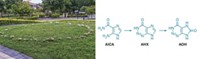 Serving the chemical, life science, and laboratory worlds