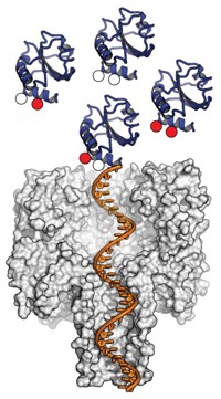 Serving the chemical, life science, and laboratory worlds