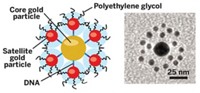 Serving the chemical, life science, and laboratory worlds