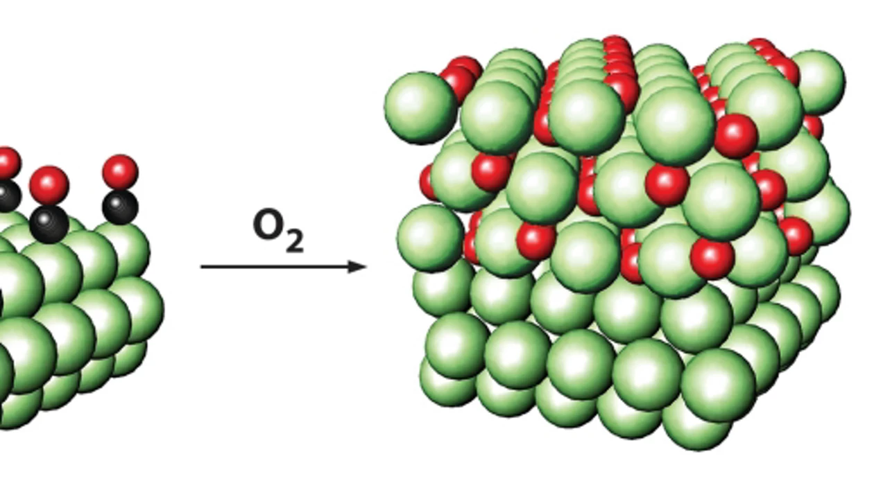 Reactive Surface Structure Observed In Real Time
