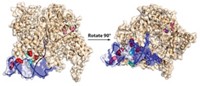 Serving the chemical, life science, and laboratory worlds