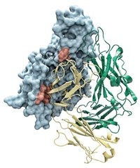 Serving the chemical, life science, and laboratory worlds