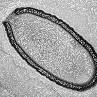 Serving the chemical, life science, and laboratory worlds