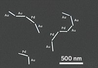 Serving the chemical, life science, and laboratory worlds