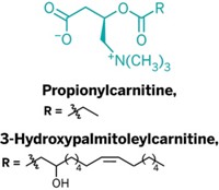 Serving the chemical, life science, and laboratory worlds