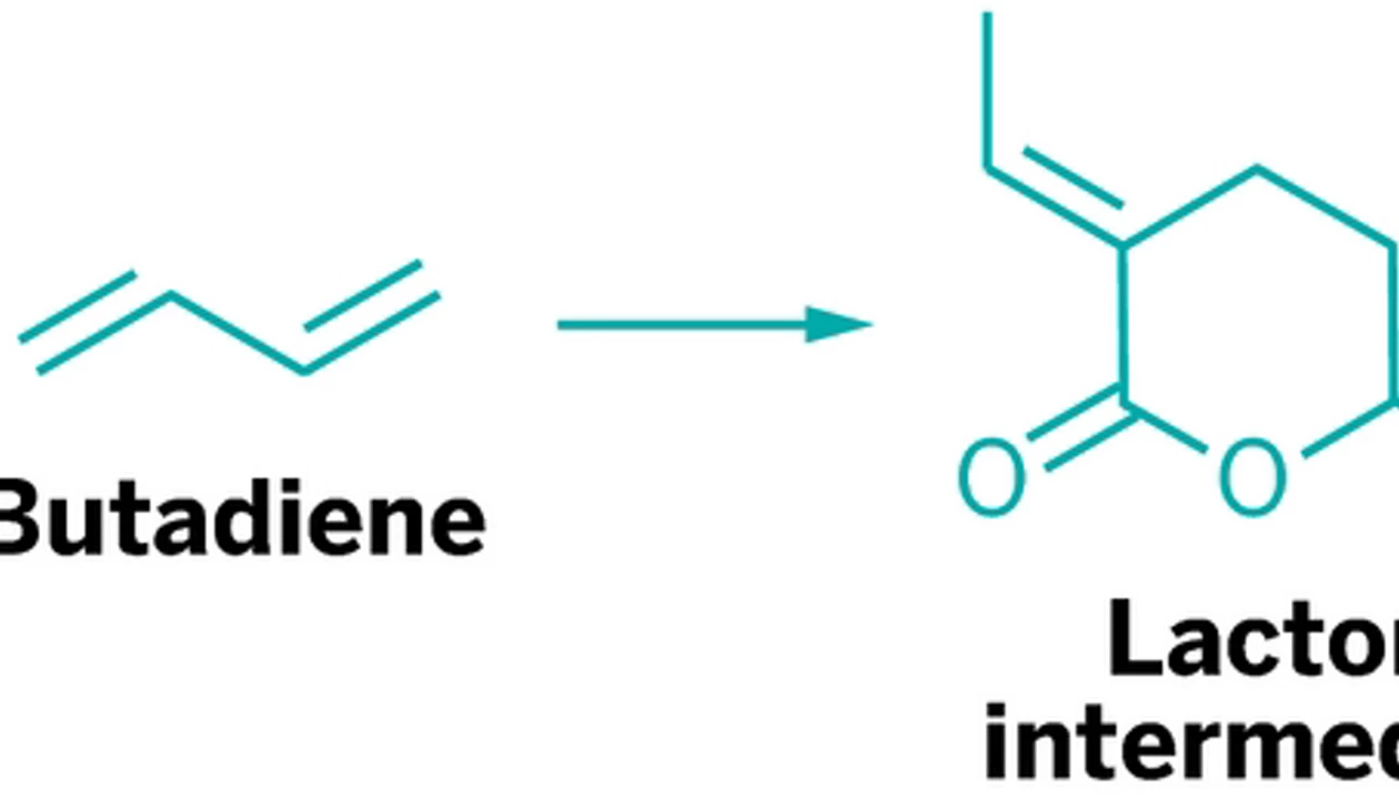 Lactone Helps Push Carbon Dioxide To Couple With Olefins