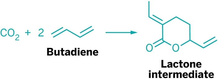 Lactone-Helps-Push-Carbon-Dioxide