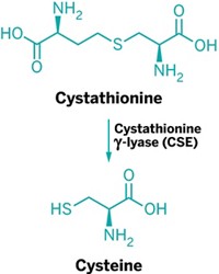 Serving the chemical, life science, and laboratory worlds