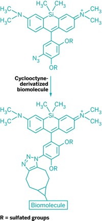 Serving the chemical, life science, and laboratory worlds