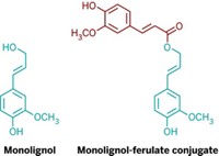 Serving the chemical, life science, and laboratory worlds