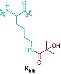 Serving the chemical, life science, and laboratory worlds