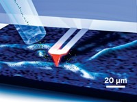 Serving the chemical, life science, and laboratory worlds