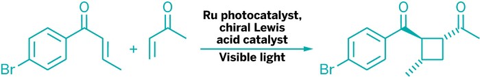 Pair-Catalysts-Builds-Chiral-Rings