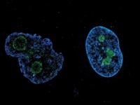 Serving the chemical, life science, and laboratory worlds