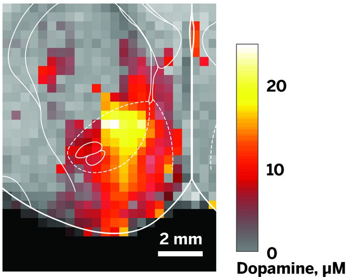 Method-Provides-3-D-Map