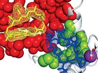 Serving the chemical, life science, and laboratory worlds