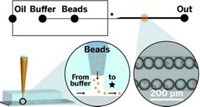 Serving the chemical, life science, and laboratory worlds