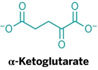 Serving the chemical, life science, and laboratory worlds