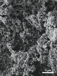 Serving the chemical, life science, and laboratory worlds