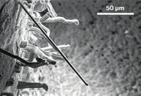 Serving the chemical, life science, and laboratory worlds