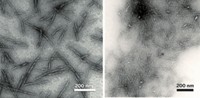 Serving the chemical, life science, and laboratory worlds