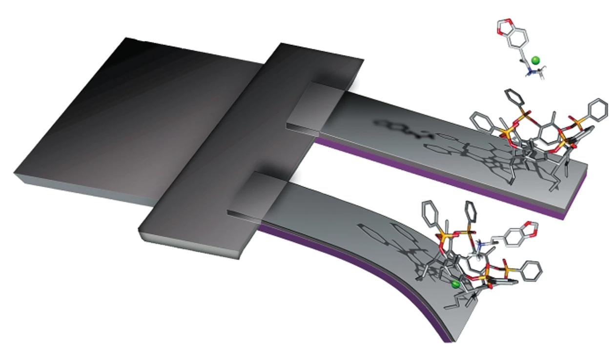 Tiny Device Detects Methamphetamines