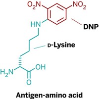 Serving the chemical, life science, and laboratory worlds