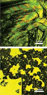 Serving the chemical, life science, and laboratory worlds