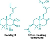 Serving the chemical, life science, and laboratory worlds