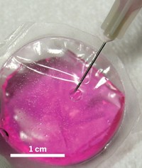 Serving the chemical, life science, and laboratory worlds