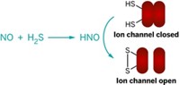 Serving the chemical, life science, and laboratory worlds