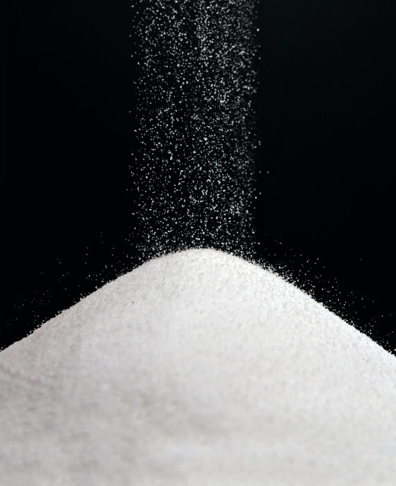 A Grain of Salt: The Science and Pseudoscience of What We Eat