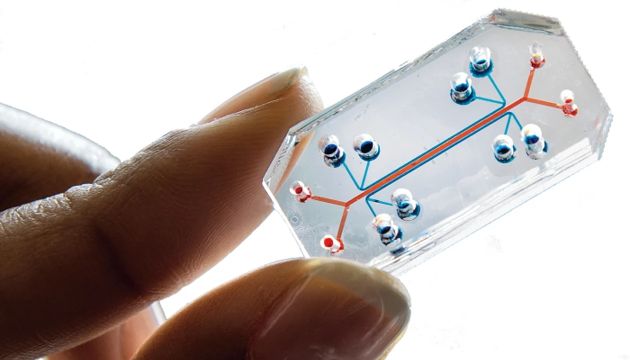 Emulate Is Launched For Organs On Chips