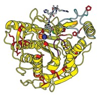 Serving the chemical, life science, and laboratory worlds
