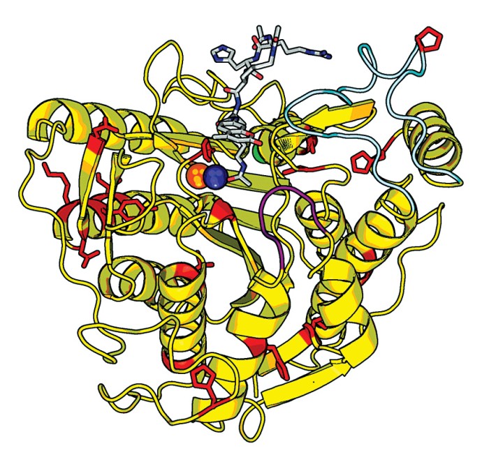 Enzyme-Mechanism-Study-Reveals-Drug