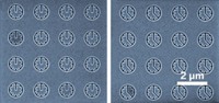 Serving the chemical, life science, and laboratory worlds